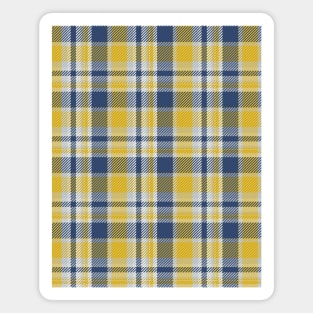 Seamless Pattern of Scottish Magnet